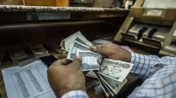 صرف معاشات ديسمبر 2025 والقيمة الجديدة للزيادة: خطوات سهلة لمعرفة مستحقاتك